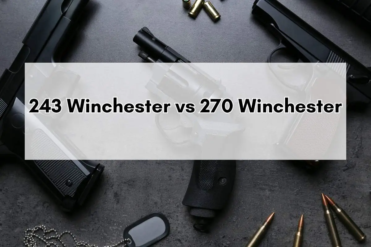 243 Winchester vs 270 Winchester