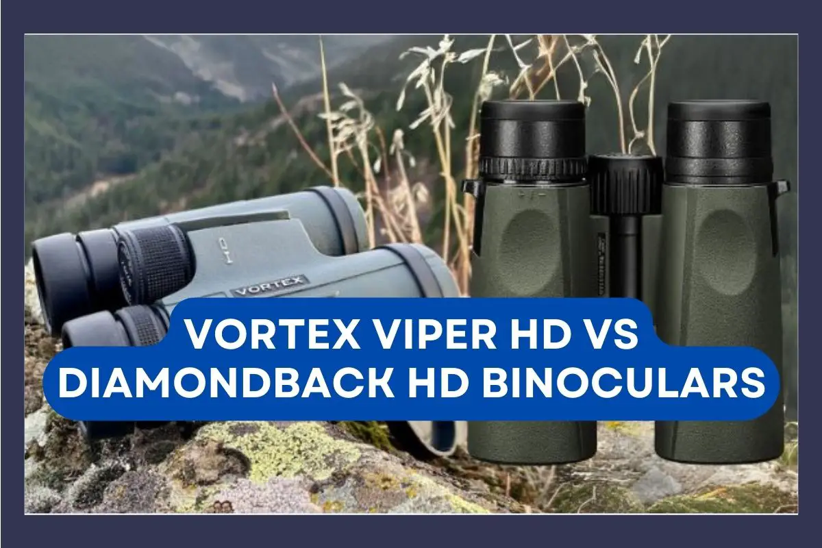 Vortex Viper HD vs Diamondback HD Binoculars